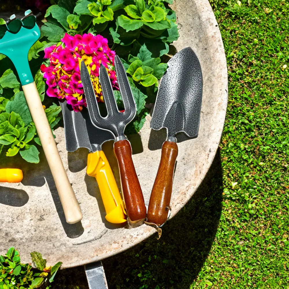 Lot de 2 - outils de jardin